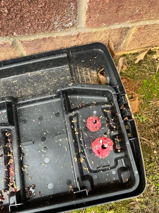 Elite Pest Services Picture 5