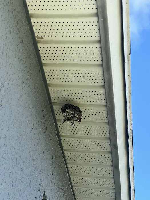 Elite Pest Services Picture 9