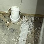 Elite Pest Services