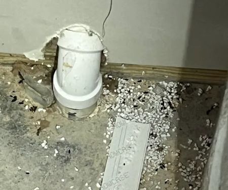 Elite Pest Services