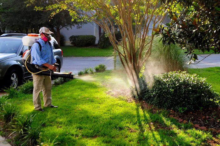 Elite Pest Services Picture 8