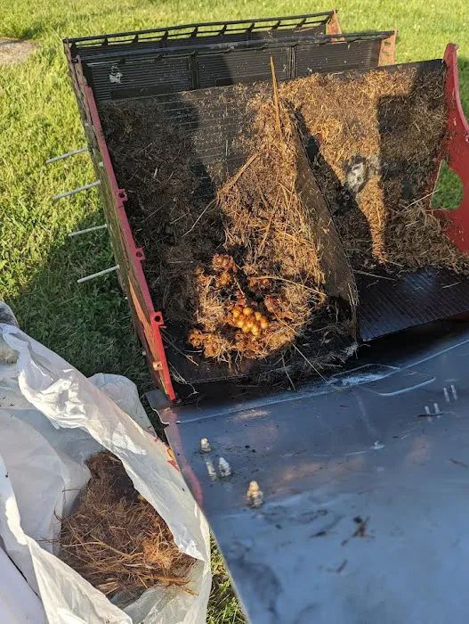 United Pest Control Picture 3