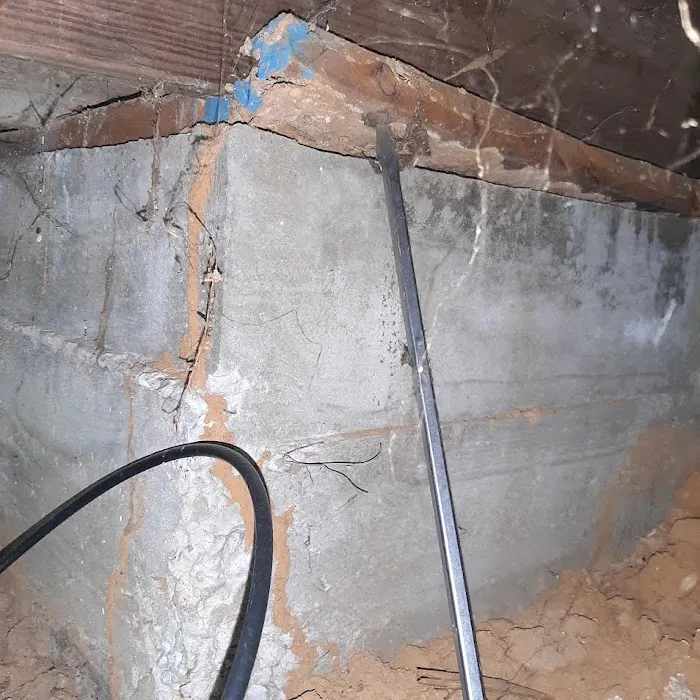 United Pest Control Picture 4