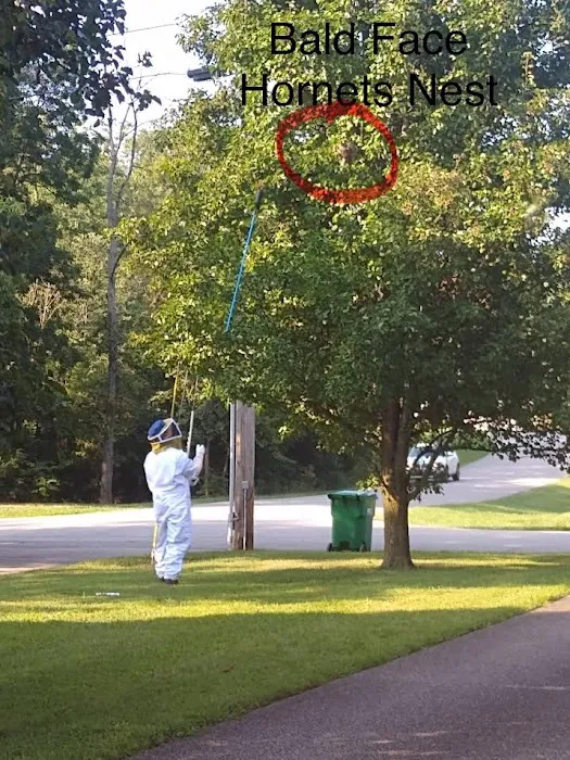 United Pest Control Picture 5