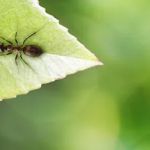 Moore's Frankfort Chemical Inc