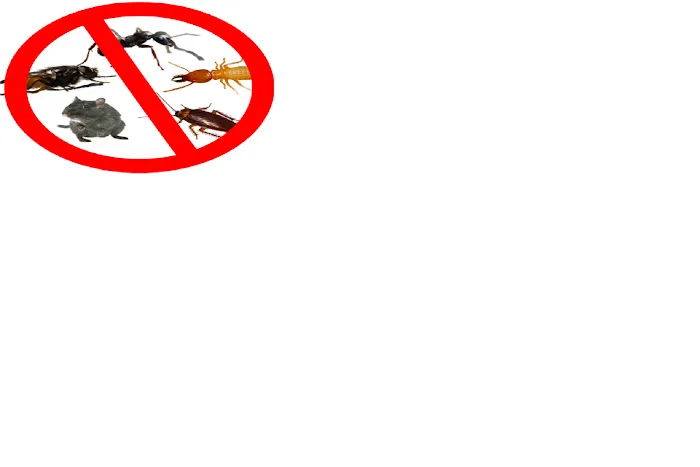 Altus Pest Control Picture 4