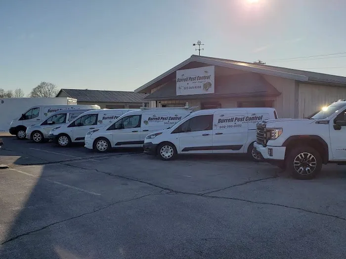 Burrell Pest Control Picture 10