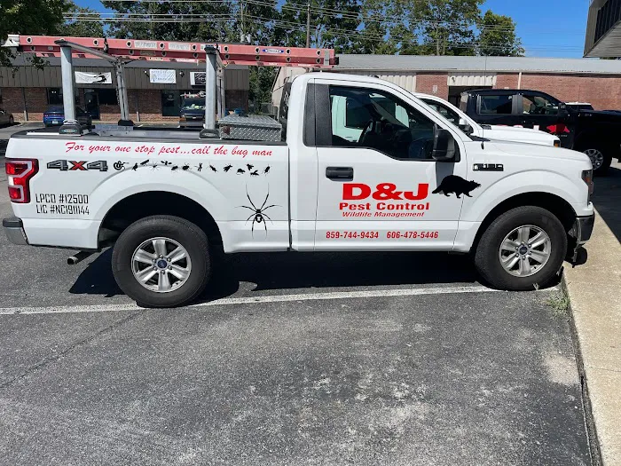 D&j pest control Picture 4