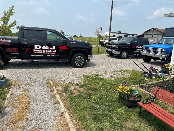D&j pest control Picture 10