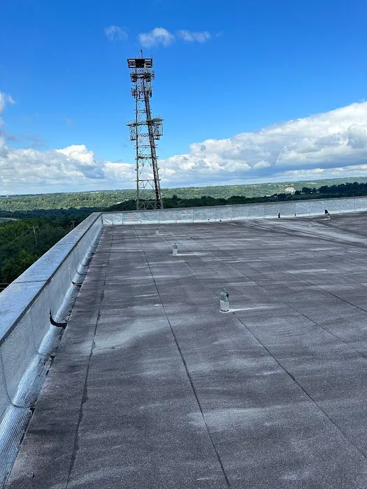 D&j pest control Picture 1