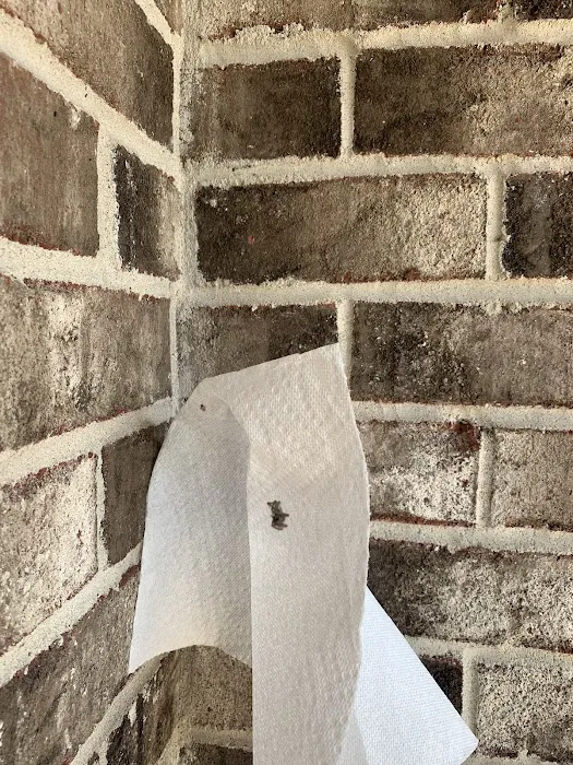 Kentucky Pest Control Picture 4