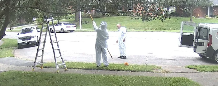 Kentucky Pest Control Picture 8