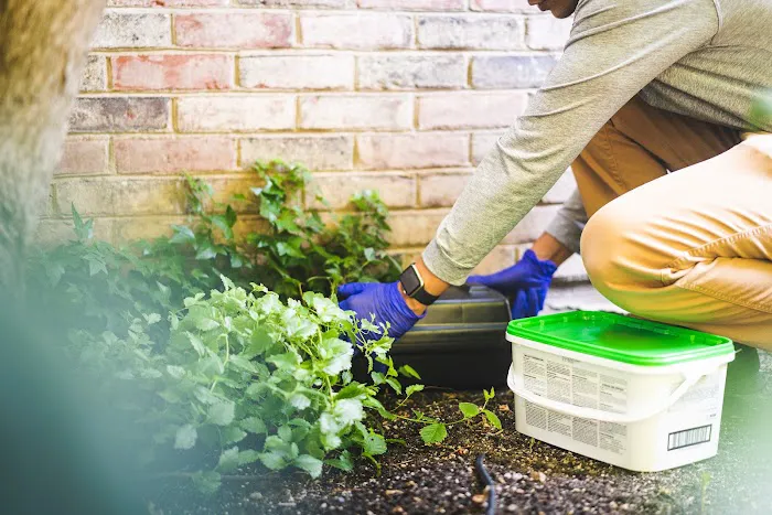 Greenix Pest Control Picture 5