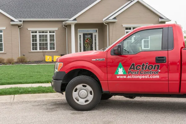 Action Pest Control Picture 1