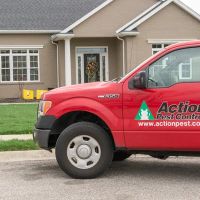 Action Pest Control ico