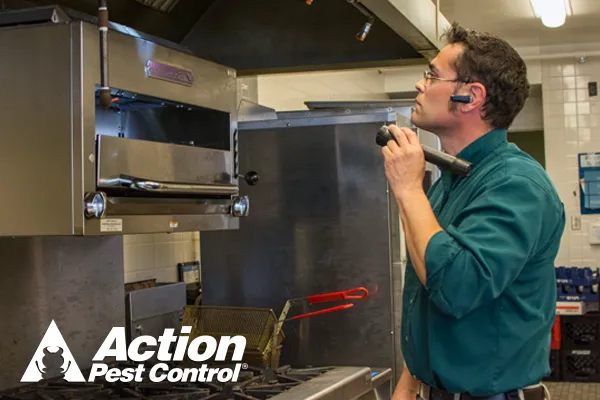 Action Pest Control Picture 9