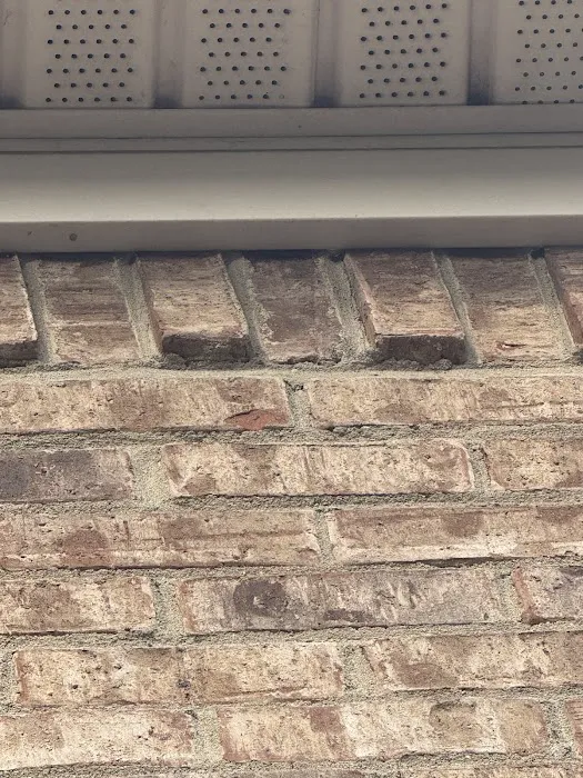 Orkin Picture 5