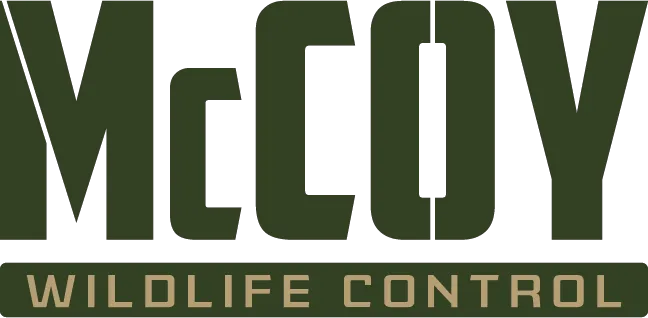McCoy Wildlife Control Picture 1