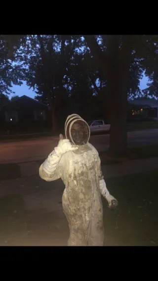 America's Best Bees Picture 7