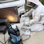 America's Best Bees