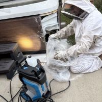 America's Best Bees ico