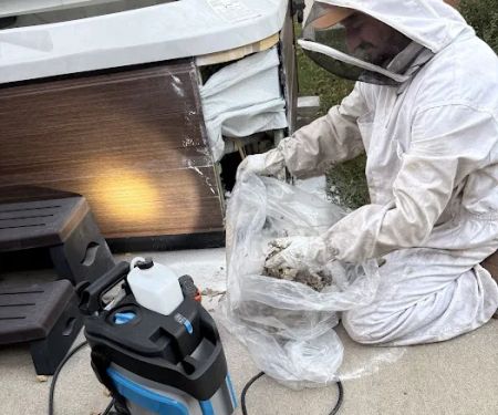 America's Best Bees
