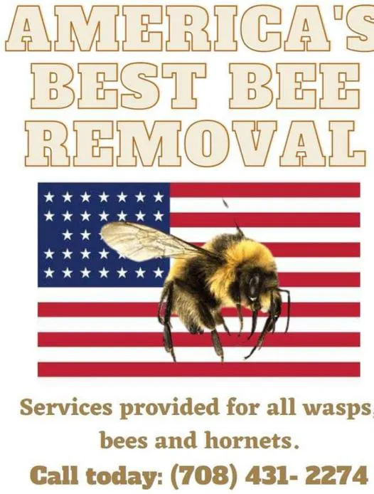 America's Best Bees Picture 9