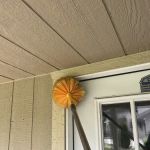 Aptive Pest Control