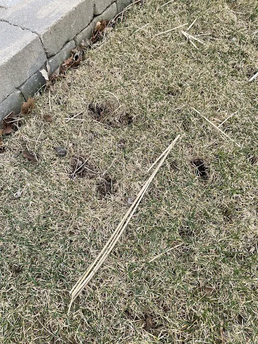 Guardian Pest Control Picture 8