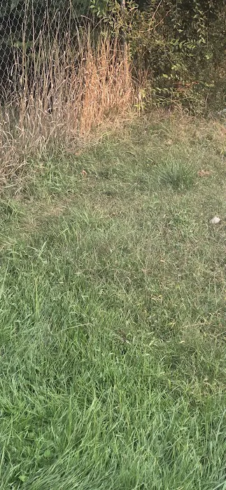 Guardian Pest Control Picture 9