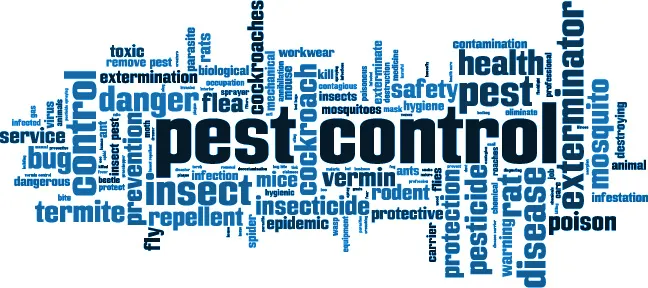 Bed Bug Solutions of Southwest Michigan LLC Picture 1