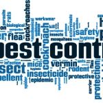 Bed Bug Solutions of Southwest Michigan LLC