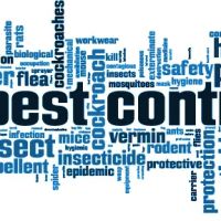 Bed Bug Solutions of Southwest Michigan LLC ico