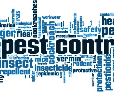 Bed Bug Solutions of Southwest Michigan LLC