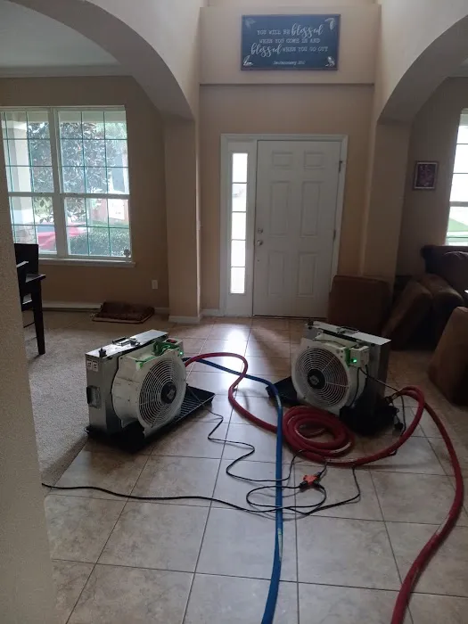 Bed Bug Specialist Picture 7