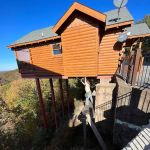 East Tennessee Wildlife Management