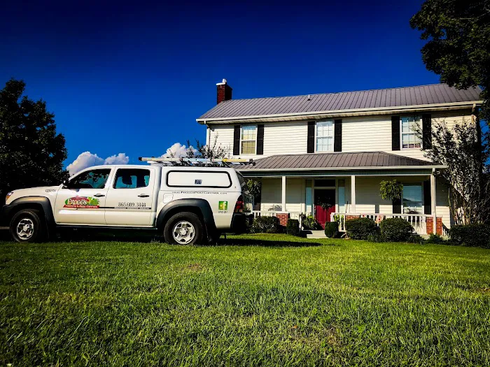 Frogg's Termite & Pest Control Picture 9