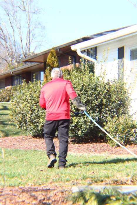 Frogg's Termite & Pest Control Picture 1