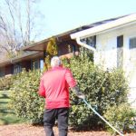 Frogg's Termite & Pest Control