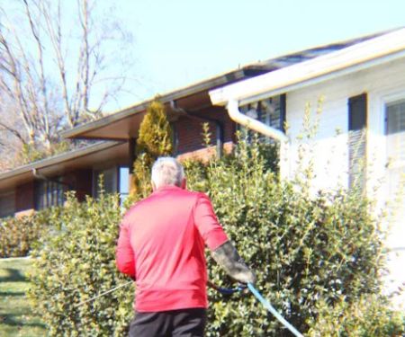 Frogg's Termite & Pest Control