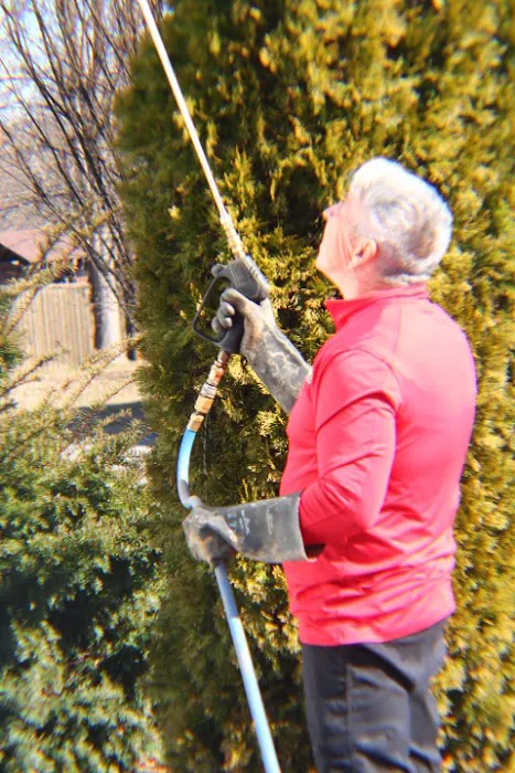 Frogg's Termite & Pest Control Picture 6