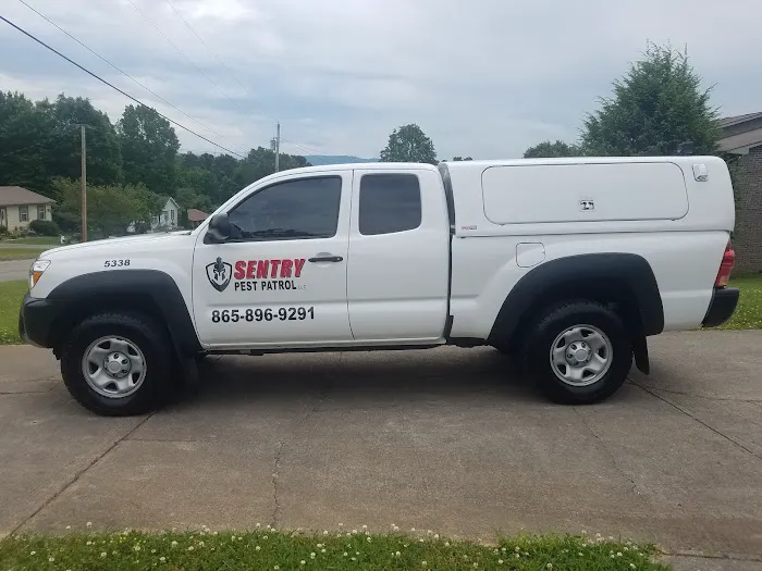 Sentry Pest Patrol LLC Picture 1