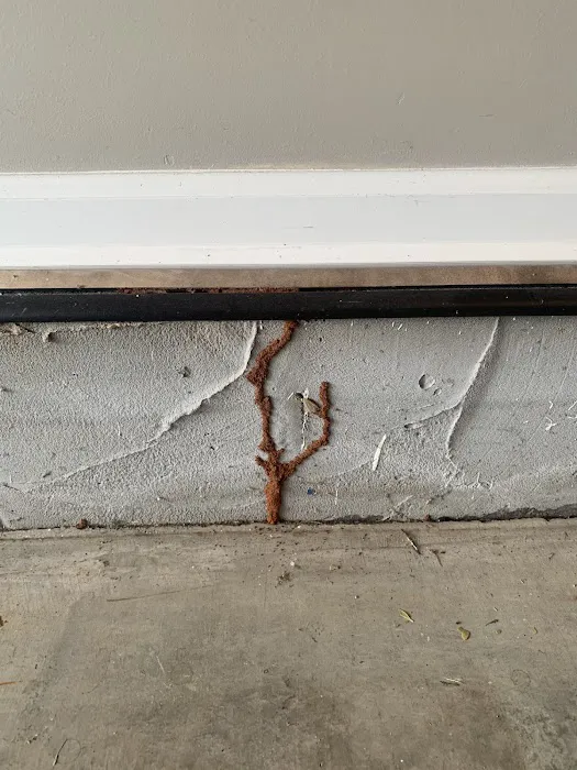 Honorguard Pest Management Picture 1