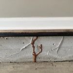 Honorguard Pest Management