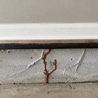 Honorguard Pest Management ico