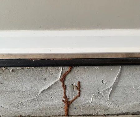 Honorguard Pest Management