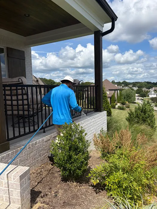 ClearDefense Pest Control Picture 7