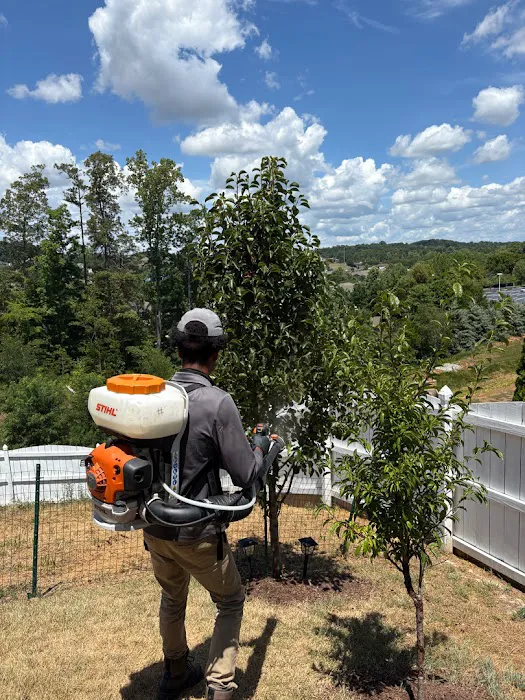 ClearDefense Pest Control Picture 10