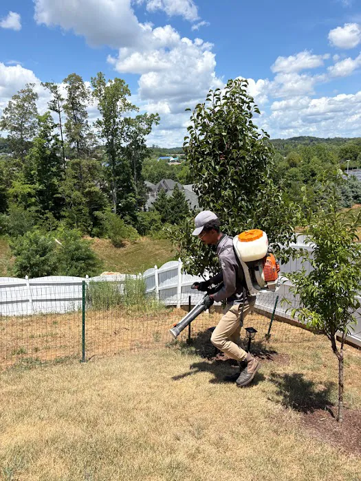 ClearDefense Pest Control Picture 8