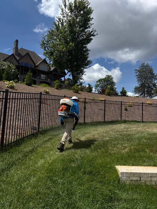 ClearDefense Pest Control Picture 3